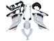 2013-2024 Kawasaki EX300 Motorcycle Fairings - White Red Black Canada Websites