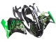 1996-2007 Honda CBR1100XX Blackbird Motorcycle Fairing - Glossy Black Green Flame Canada Websites