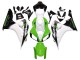 2006-2007 Honda CBR1000RR Motorcycle Fairing - White Green Glossy Black Canada Websites
