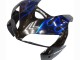 2005-2006 Honda CBR600RR Motorcycle Fairing - Glossy Black Blue Flame Canada Websites