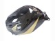 2005-2006 Honda CBR600RR Motorcycle Fairing - Black Gold Canada Websites