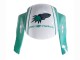 2005-2006 Honda CBR600RR Motorcycle Fairings - Light Green White Glossy Black Joe Rocket Canada Websites