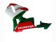 2005-2006 Honda CBR600RR Motorcycle Fairings - Red White Green Canada Websites
