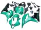 2007-2008 Honda CBR600RR Bike Fairings - Green Glossy Black Canada Websites