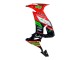 2008-2010 Kawasaki ZX10R Motorcycle Fairings - Red Green Black Canada Websites