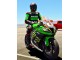 2011-2015 Kawasaki ZX10R Motorcycle Fairings - Green Yellow White Black Red Pirelli Canada Websites