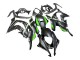 2016-2020 Kawasaki ZX10R Motorcycle Fairings - Matte Black Green White Ninja Canada Websites