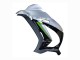 2016-2020 Kawasaki ZX10R Motorcycle Fairing - Silver Green Black Canada Websites