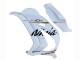 2016-2020 Kawasaki ZX10R Motorcycle Fairings - White Gold Black Canada Websites