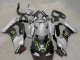 2021-2025 Kawasaki ZX10R Motorcycle Fairings - Grey Matte Black Green White Elf Snow Monster Canada Websites