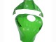2021-2025 Kawasaki ZX10R Motorcycle Fairings - Green Glossy Black Canada Websites