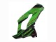 2021-2025 Kawasaki ZX10R Motorcycle Fairings - Green Glossy Black Canada Websites