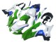 2021-2025 Kawasaki ZX10R Motorcycle Fairings - White Green Blue Black Canada Websites