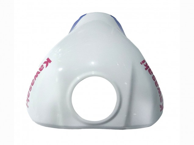 2021-2025 Kawasaki ZX10R Motorcycle Fairings - White Green Blue Black Canada Websites