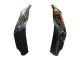 2021-2025 Kawasaki ZX10R Motorcycle Fairings - Green Black Red Canada Websites