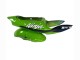 1998-1999 Kawasaki ZX6R Motorcycle Fairings - Green White Blue Silver Glossy Black Canada Websites