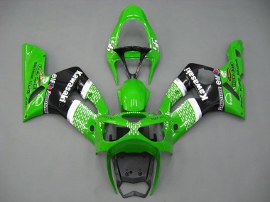 2003-2004 Kawasaki ZX6R Motorcycle Fairings - Green White Black Elf Bridgestone Canada Websites
