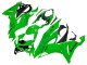 2019-2022 Kawasaki ZX6R Motorcycle Fairings - Green Canada Websites