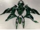 2019-2022 Kawasaki ZX6R Motorcycle Fairings - Dark Green Canada Websites