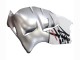 1996-2007 Suzuki GSXR 1300 Hayabusa Motorcycle Fairings - White Silver Hayabusa Canada Websites