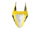 2019-2021 Yamaha YZF R3/R25 Motorcycle Fairings - Yellow White Black Stripe Canada Websites
