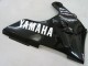 2000-2001 Yamaha YZF 1000 R1 Motorcycle Fairings - Glossy Black White Decal Canada Websites