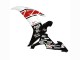 2002-2003 Yamaha YZF 1000 R1 Motorcycle Fairings - White Red Black Castrol Canada Websites