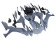 2020-2025 Yamaha YZF 1000 R1 Motorcycle Fairings - Glossy Grey Canada Websites