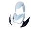 2013-2018 Kawasaki Z800 Motorcycle Fairings - White Glossy Black Green Canada Websites