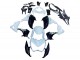 2013-2018 Kawasaki Z800 Motorcycle Fairings - White Glossy Black Green Canada Websites
