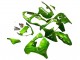 2000-2001 Kawasaki ZX9R Motorcycle Fairings - Green Flame Canada Websites