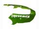 2000-2001 Kawasaki ZX9R Motorcycle Fairings - Green Flame Canada Websites
