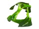 2000-2001 Kawasaki ZX9R Motorcycle Fairings - Green Flame Canada Websites