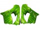 2000-2001 Kawasaki ZX9R Motorcycle Fairings - Green Flame Canada Websites