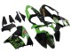 2000-2001 Kawasaki ZX9R Motorcycle Fairings - Green Black Playboy DENSO Canada Websites
