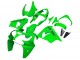 2000-2001 Kawasaki ZX9R Motorcycle Fairings - Green Canada Websites