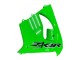 2000-2001 Kawasaki ZX9R Motorcycle Fairings - Green Canada Websites