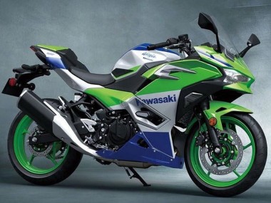 2024-2025 Kawasaki Ninja 500 EX500R Motorcycle Fairings - Silver Green Blue Canada Websites