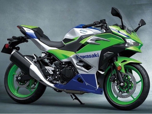 2024-2025 Kawasaki Ninja 500 EX500R Motorcycle Fairings - Silver Green Blue Canada Websites