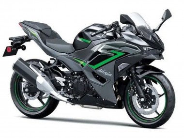2024-2025 Kawasaki Ninja 500 EX500R Motorcycle Fairings - Black Grey Green Canada Websites