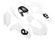 2020-2024 Aprilia RS660 Motorcycle Fairing - White Canada Websites