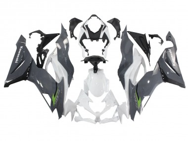 2019-2022 Kawasaki ZX6R Motorcycle Fairings - White Grey Green Canada Websites