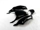 Black Green 2012-2021 ZX14R ZZR1400 Motorcycle Fairings Black Green 2012-2021 ZX14R ZZR1400 Motorcycle Fairings