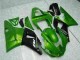 Green 2000-2001 YZF R1 Motorcycle Fairings Green 2000-2001 YZF R1 Motorcycle Fairings