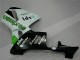 Green 2005-2006 CBR600RR Motorcycle Fairings Green 2005-2006 CBR600RR Motorcycle Fairings