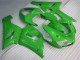 Green 2005-2006 ZX6R Motorcycle Fairing Green 2005-2006 ZX6R Motorcycle Fairing