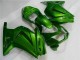 Green Ninja 2008-2012 EX250 Motorcycle Fairing Green Ninja 2008-2012 EX250 Motorcycle Fairing