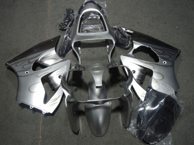 Silver Flame 2000-2002 ZX6R Motorcycle Fairings Silver Flame 2000-2002 ZX6R Motorcycle Fairings