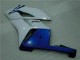 White Blue 2004-2005 CBR1000RR Motorcycle Fairing White Blue 2004-2005 CBR1000RR Motorcycle Fairing